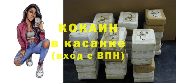 ГАЛЛЮЦИНОГЕННЫЕ ГРИБЫ Белокуриха
