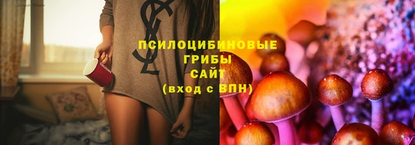 спайс Беломорск