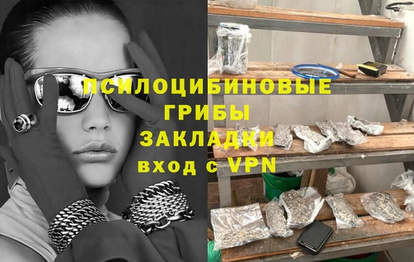 ГАЛЛЮЦИНОГЕННЫЕ ГРИБЫ Белокуриха