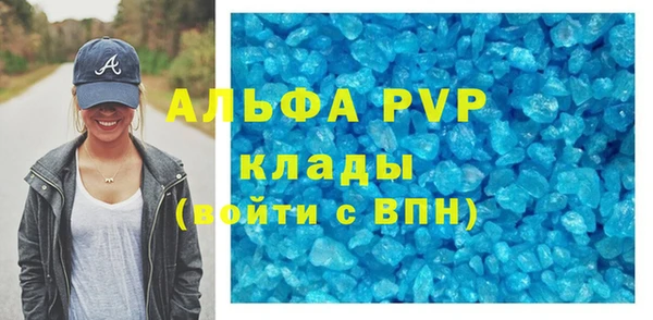 ГАЛЛЮЦИНОГЕННЫЕ ГРИБЫ Белокуриха