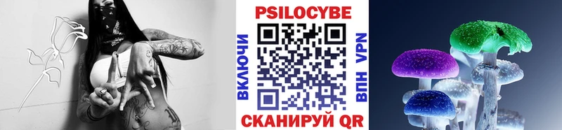 Псилоцибиновые грибы MAGIC MUSHROOMS  хочу наркоту  Боровск 